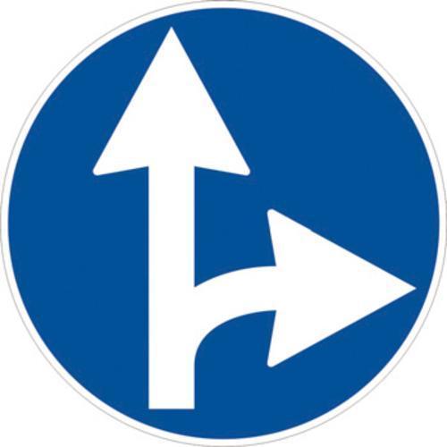 Cartello Direzioni Consentite Diritto e Destra Figura II 81/b