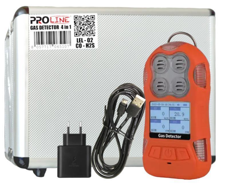 Rilevatore Di Gas 4 In 1 (LEL O2 Co H2s) Ip67 Portatile Con Valigetta