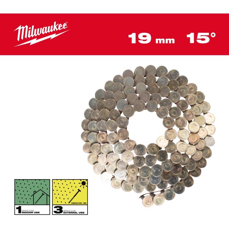 Chiodi A Spirale 15 Rh 3,05X32Mm/Ss/G-2160 Pz - Milwaukee 4932499318